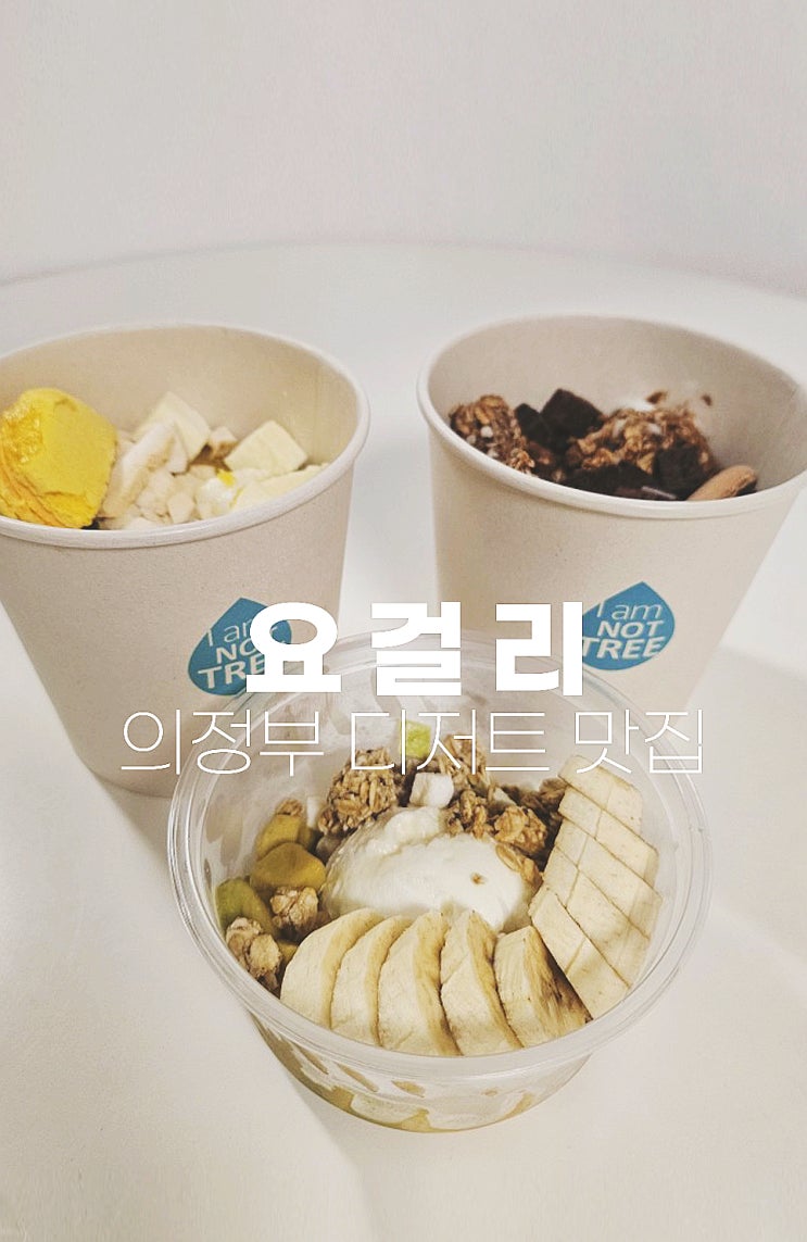  요거트아이스크림이 너무 맛있는 의정부 디저트 맛집 요걸리 [수제요거트 추천]