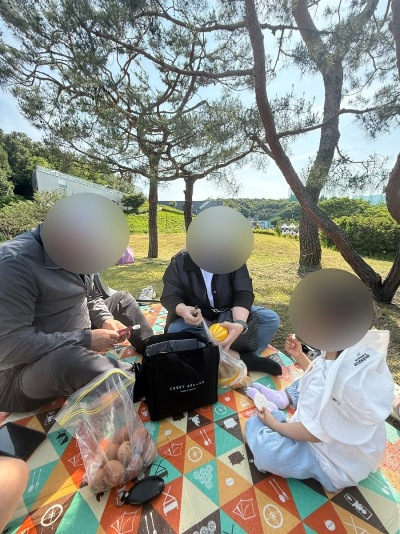 북서울 꿈의 숲 주차요금 및 곤충박물관 다녀온 후기