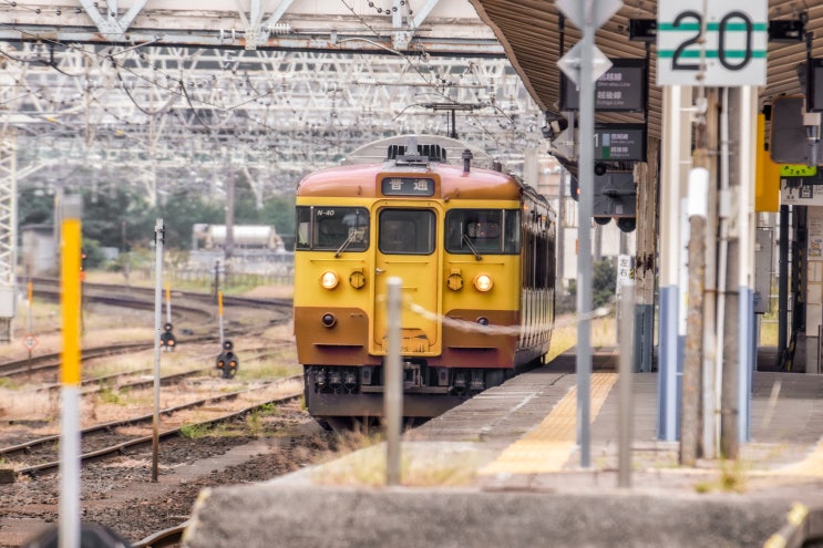  ktx 코레일 힘내라청춘 청년할인 조건 및 등록방법 총정리편