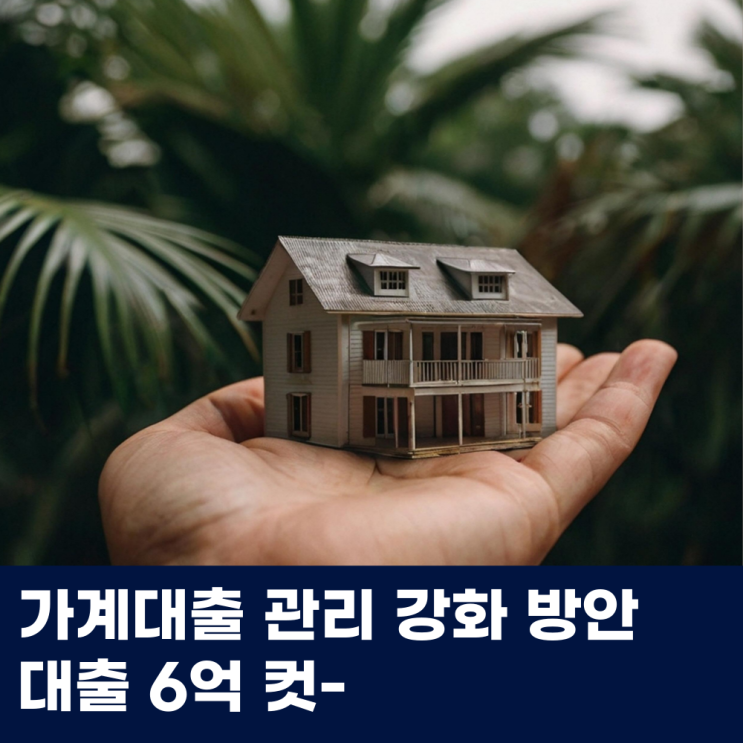  가계대출 관리 강화 방안 주담대 6억 컷!