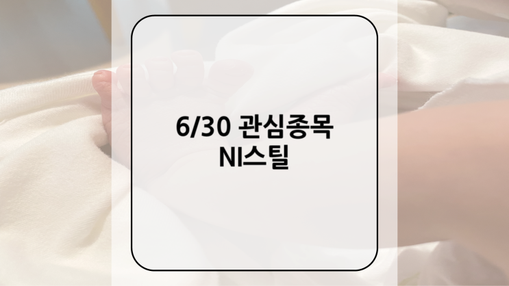 [관심종목] 6/30 NI스틸