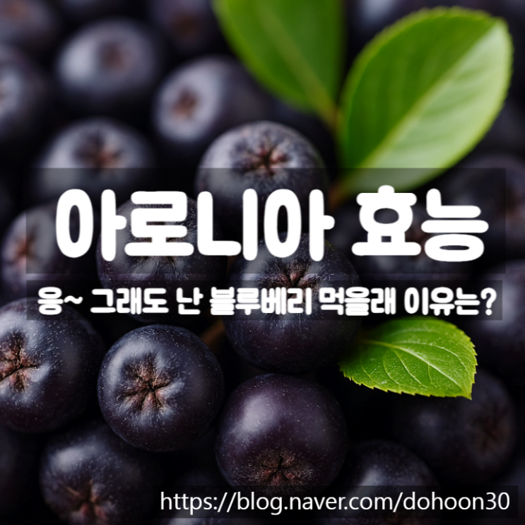  아로니아 효능, 더 좋아도 사람들이 블루베리를 선택하는 이유