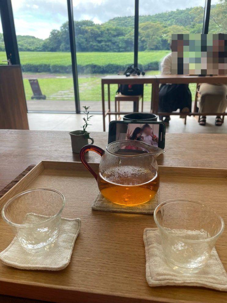  [제주도] 동쪽 조천 차밭 '올티스' 다도체험 Tea Mind 티클래스 후기