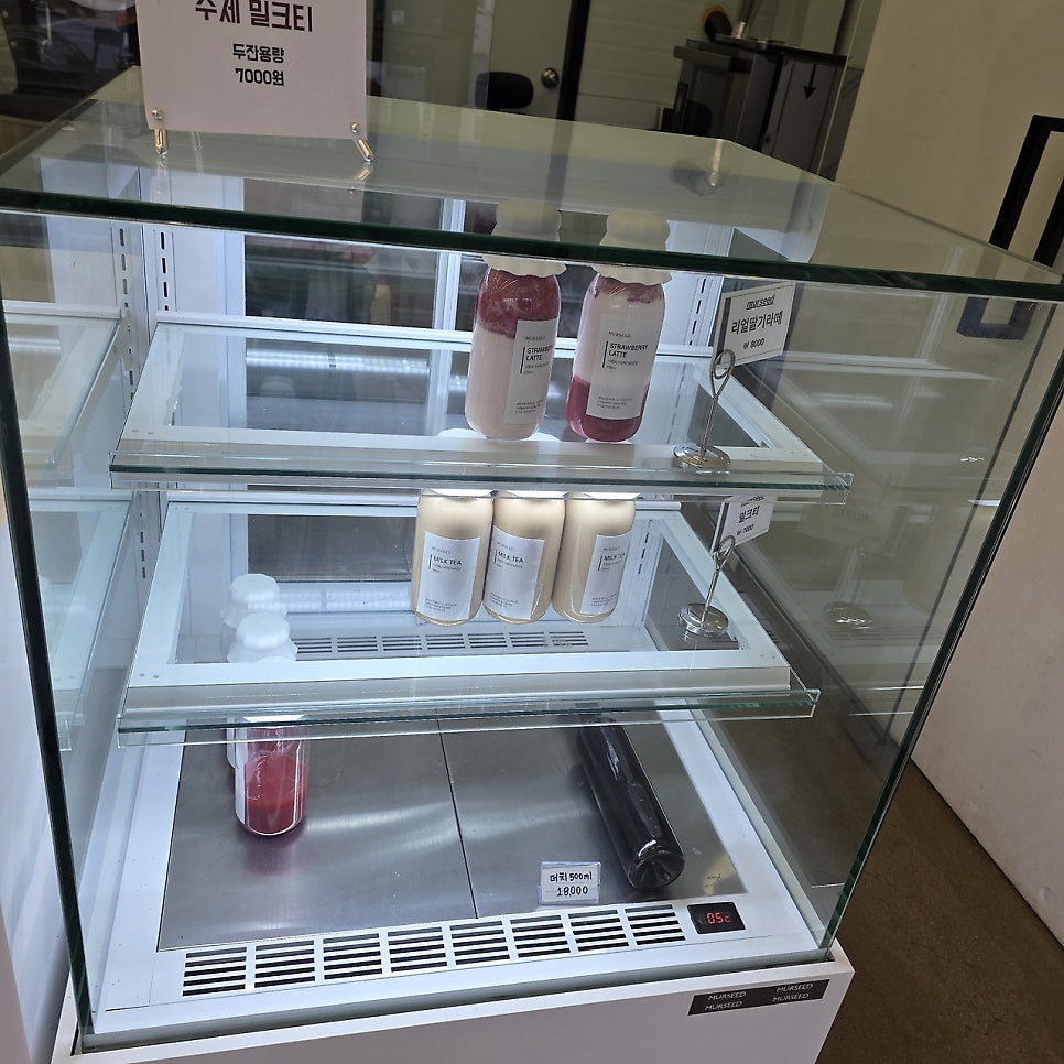 머씨드 사진 6