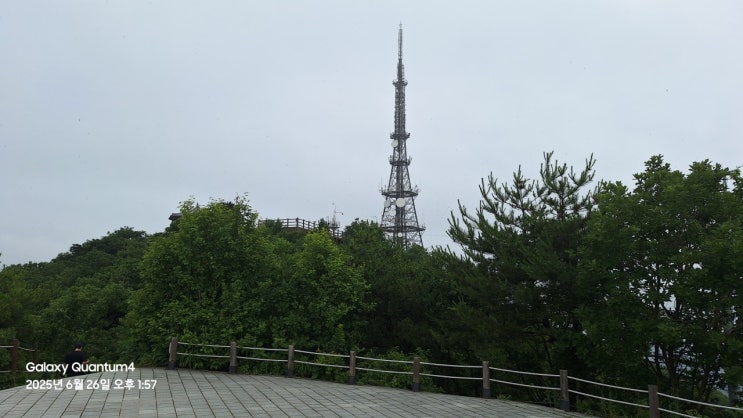 <b>계양산</b> 정상에 <b>러브버그</b> 비상