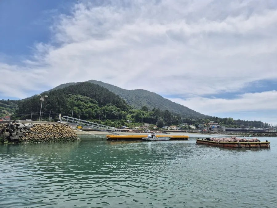 완도해상펜션 사진 3
