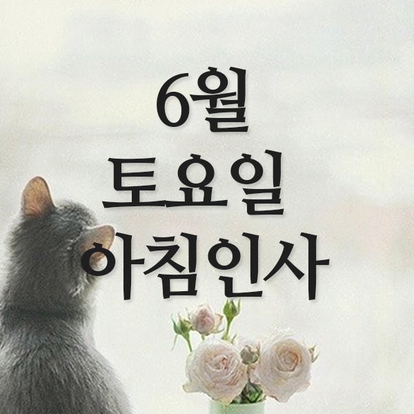  6월 토요일 아침인사 (주말)