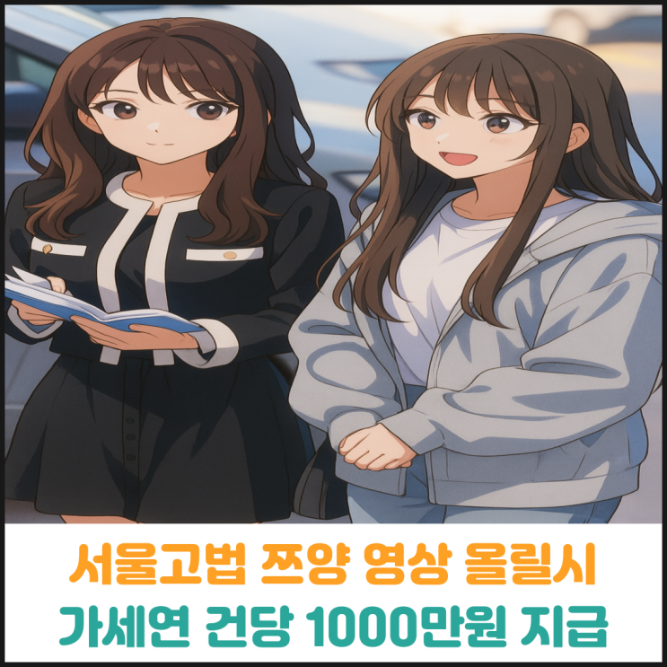 서울고법 가세연 쯔양 영상 올릴시 건당 1000만원 지급 결정 서울고법 가세연 쯔양 영상 올릴시 건당 1000만원 지급 결정