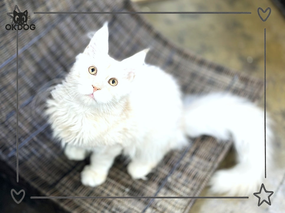 허허 사진 5