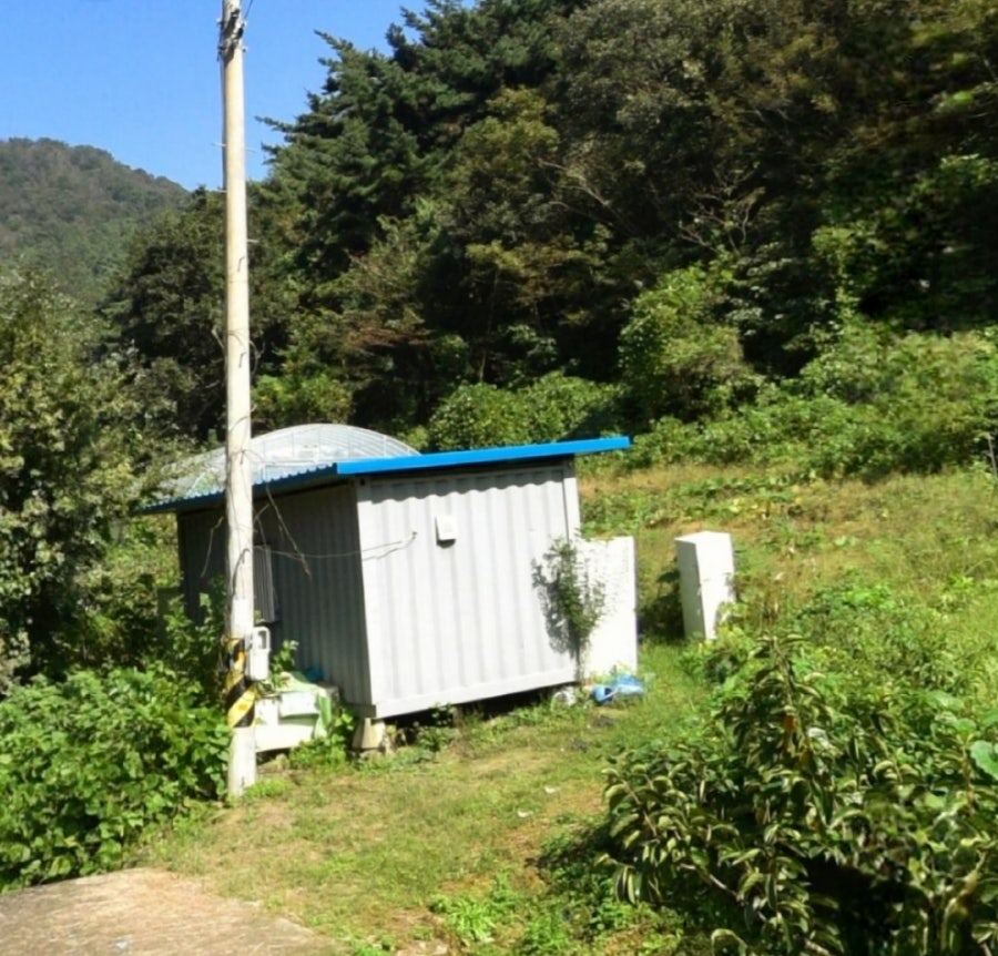 저정골 사진 6