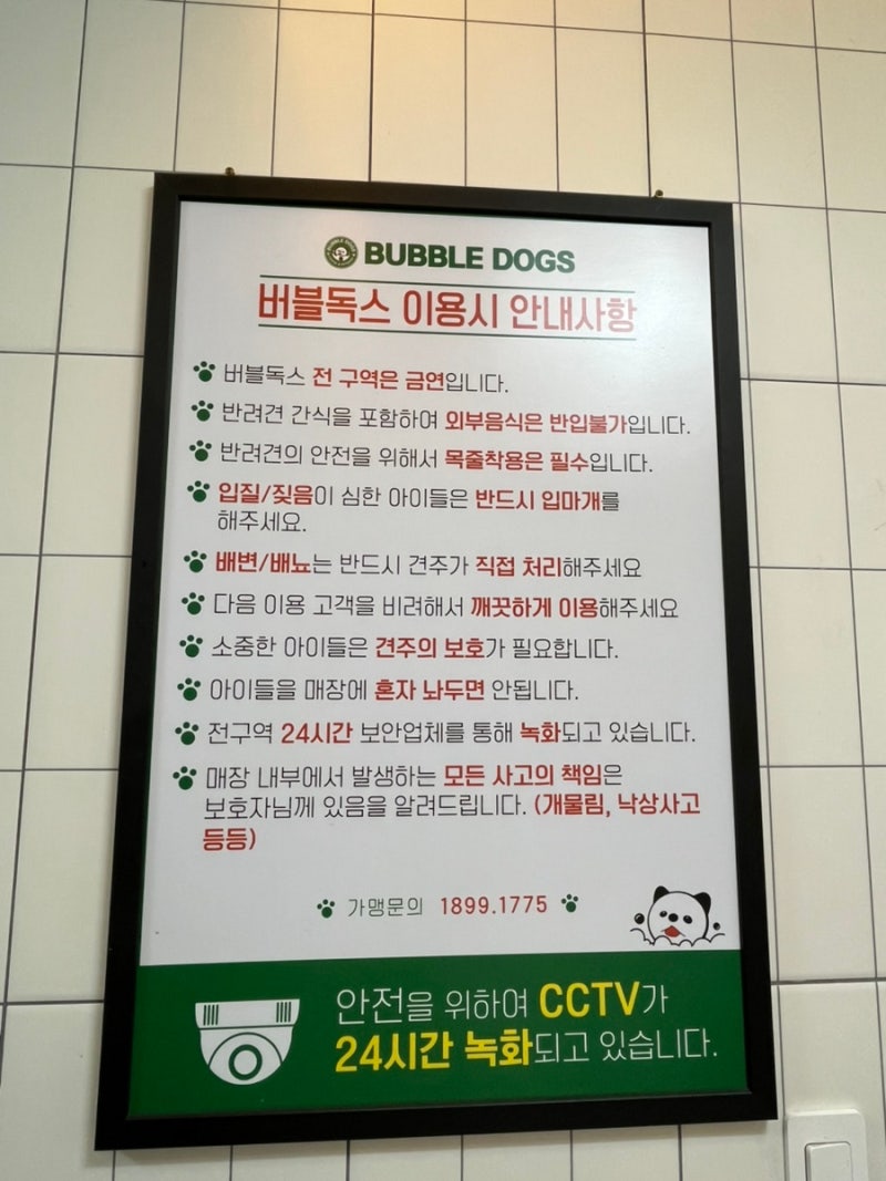 사진 2