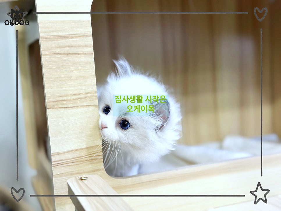 허허 사진 1