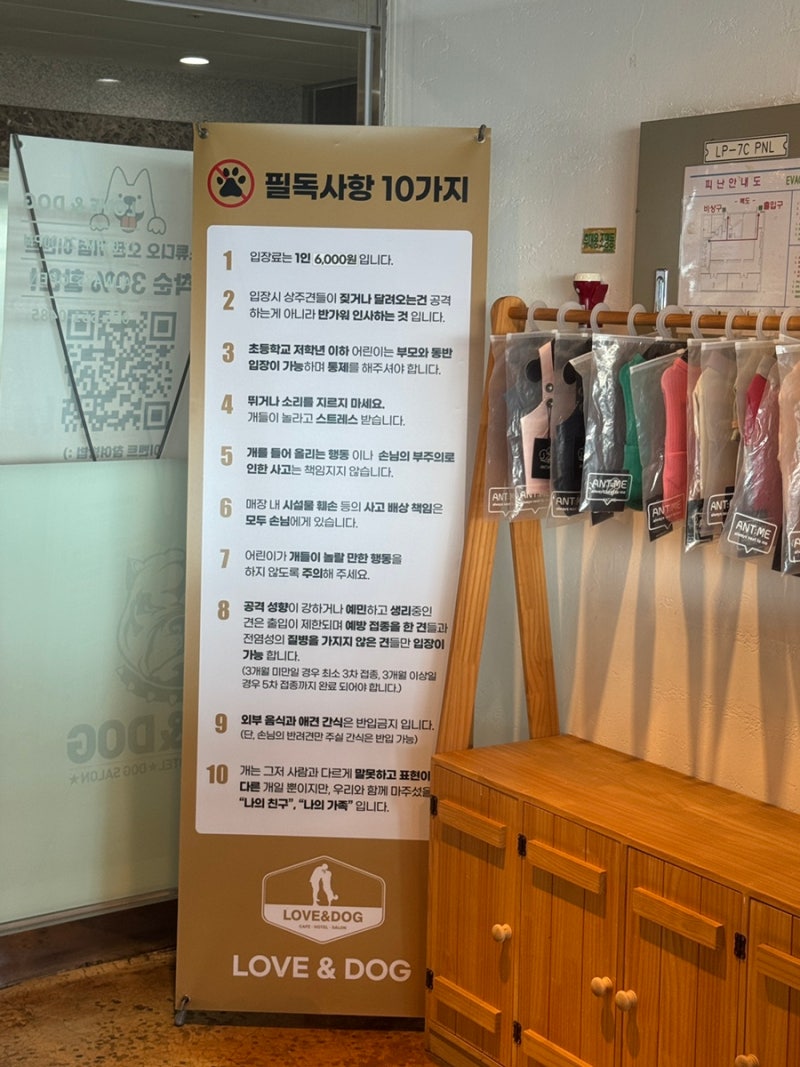 사진 2
