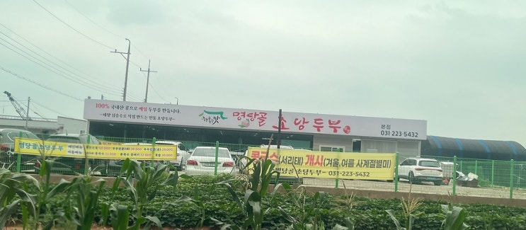  수원 맛집 두부요리 맛있는 집 명당골초당두부 후기 추천