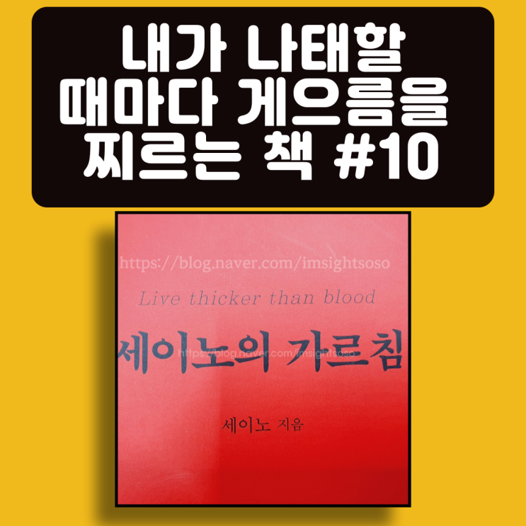  세이노의 가르침, 세이노, 게으름 극복 필독서, 자기계발 책추천: 내가 나태할 때마다, 게으름을 찌르는 책 #10