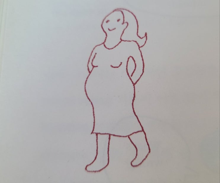임신한 / 생식기(나팔관, 자궁, 난자, 난소, 베란) / 탯줄 / 태아