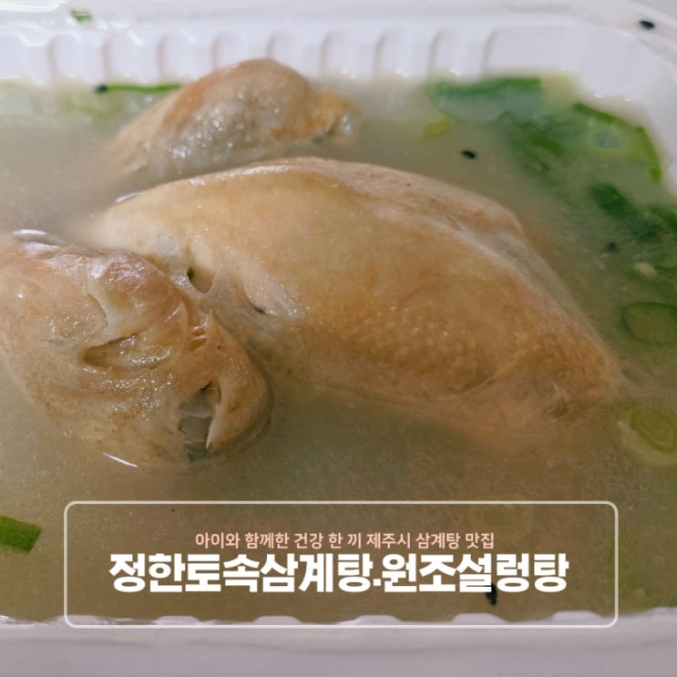  아이와 함께한 건강 한 끼 제주시 삼계탕 맛집 정한토속삼계탕원조설렁탕