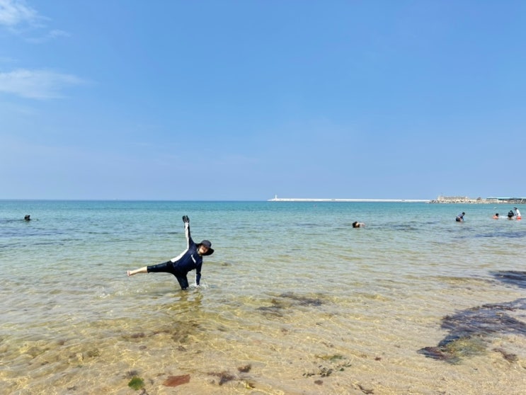 포항 용한리해수욕장 트위스트 춤추며 조개잡이 해요