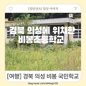 지금은 폐교된..추억의 학교. 경북 의성에 위치한 비봉초등학교(비봉국민학교)