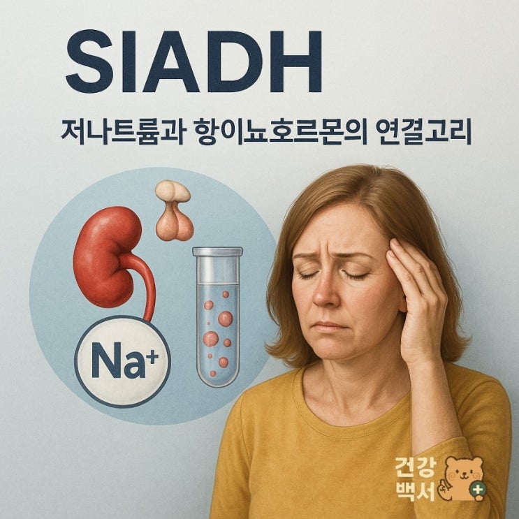  SIADH란? 항이뇨호르몬과 저나트륨혈증
