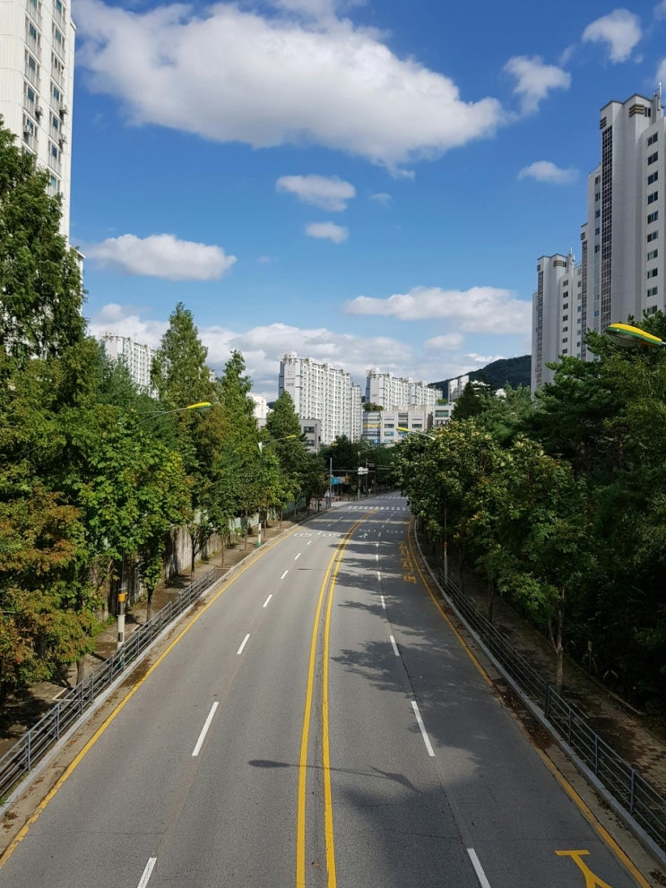  소득·집값 상관없이 주담대 6억 제한? 2025년 새 정부 대출정책 완벽 정리!