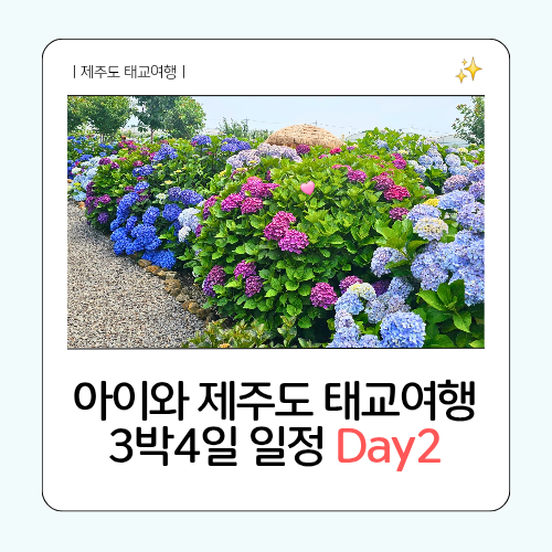  아이와 제주도 태교여행 3박 4일 일정 Day2 – 더시에나리조트/헬로키티 아일랜드/답다니 수국밭
