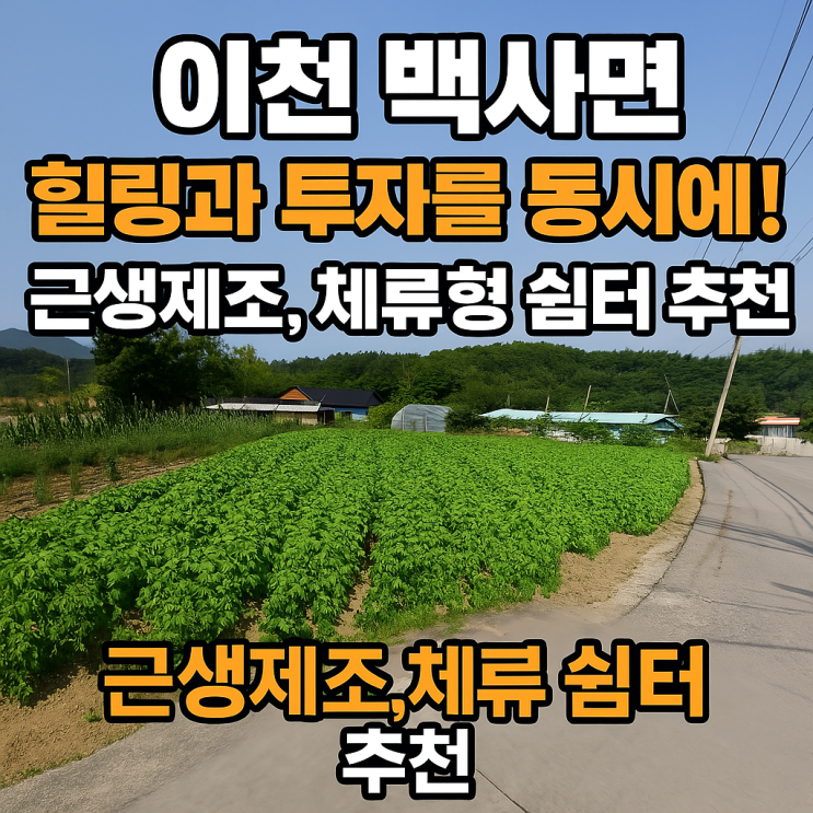   이천 백사면, 힐링과 투자를 동시에! 계획관리지역 토지 매물 분석 & 2차선예정도로 접 