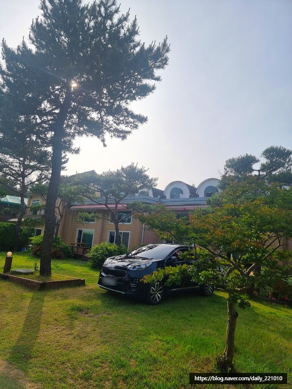 사진 6