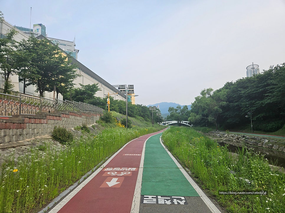 162숙성육 서초담 사진 1