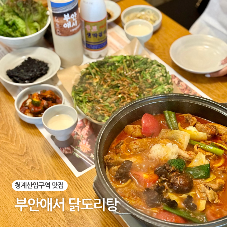  청계산입구역 맛집 부안애서, 청계산 등산 후 닭도리탕 추천