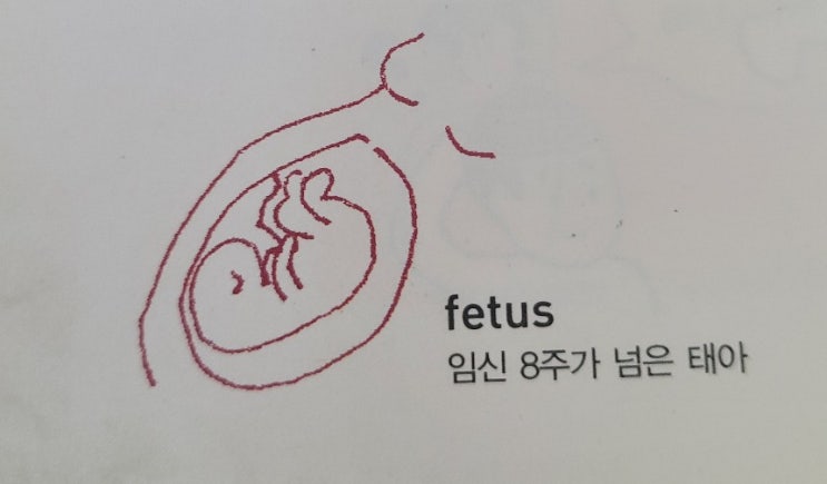 태아 / 산과 의사 / 산통중인 / 수유, 모유 먹이기