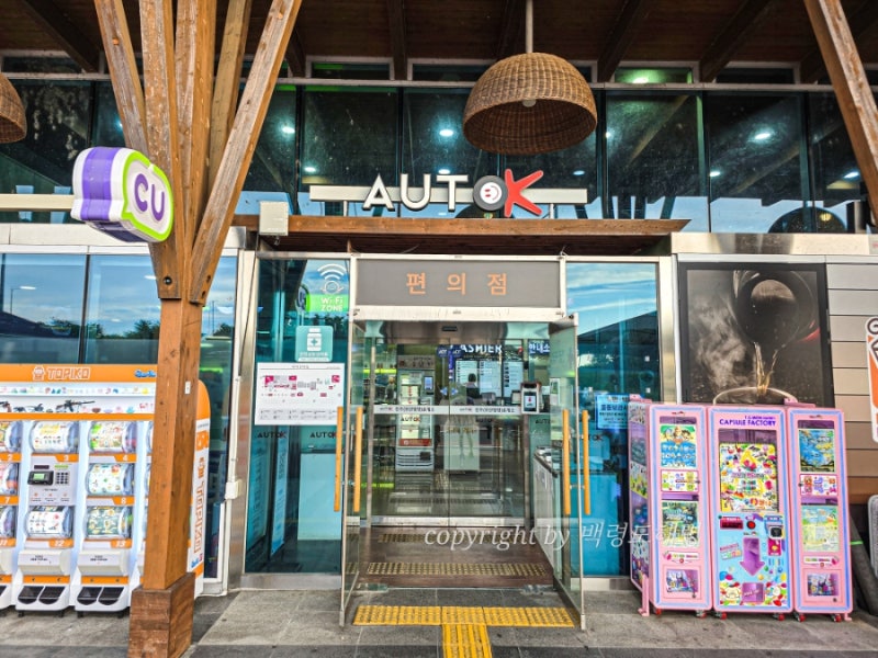 사진 5