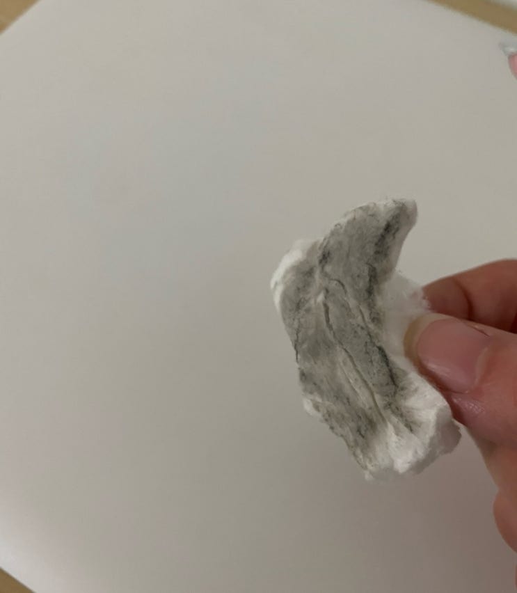  퇴사각 세우는 혼밥일기 노트북 표면 치약 청소법