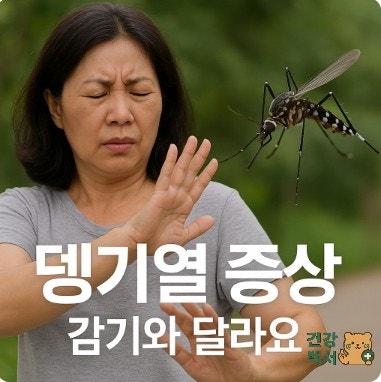  뎅기열 증상, 감기와 달라요