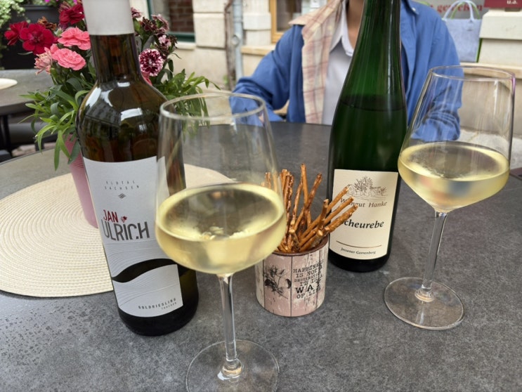  [마이센] 독일 10개도시 여행기 13 : 마이센 박물관, 추친 와이너리에서 와인 맛보기