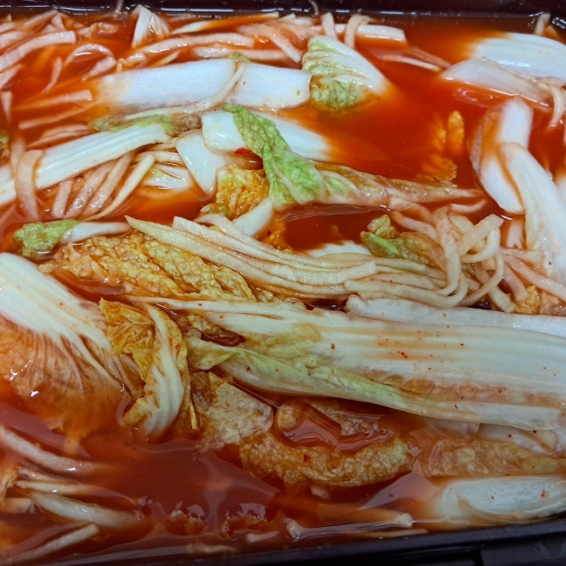 시원한 국물맛 알배기 배추 물김치 담그는법 알배추 여름 물김치 담그기