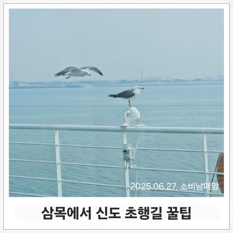  삼목 선착장에서 신도 바다역 여객터미널까지! 초행길 꿀팁
