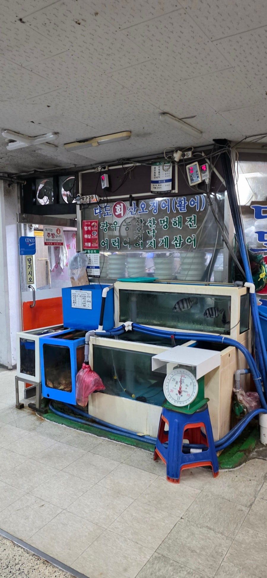 신다도회식당 사진 1