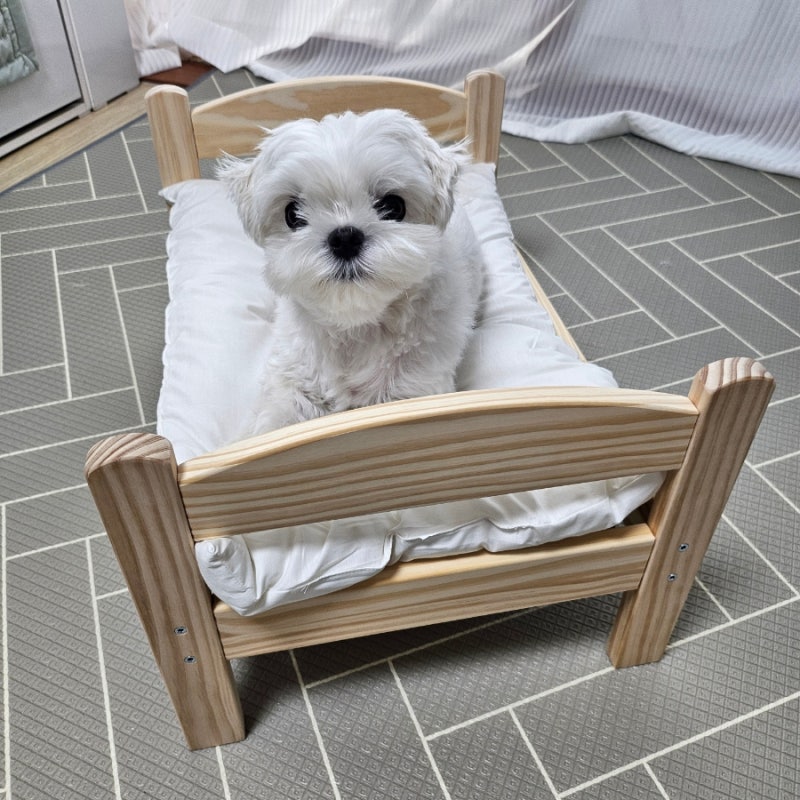 반려동물 이케아 강아지침대 DUKTIG 조합 알려드려요