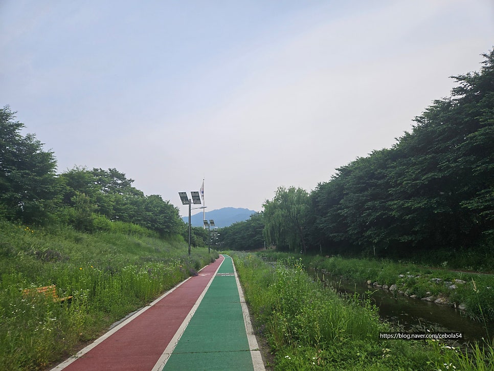 162숙성육 서초담 사진 2