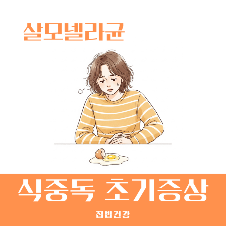 살모넬라 식중독 초기증상 특히 계란 먹고 의심된다면 여름철 예방법