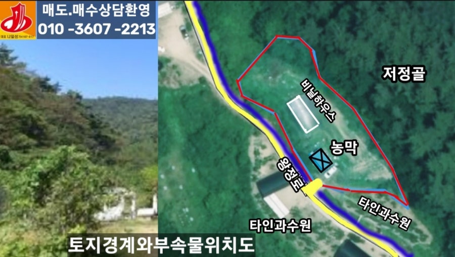 저정골 사진 4