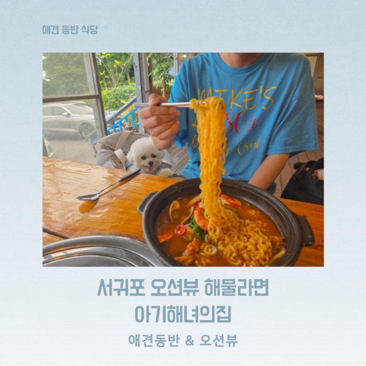  제주 서귀포 애견동반 가능한 해물라면 맛집 아기해녀의집