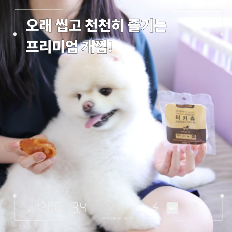 강아지 오래먹는 간식 고민 끝! 하루올데이 터키츄 프리미엄 개껌