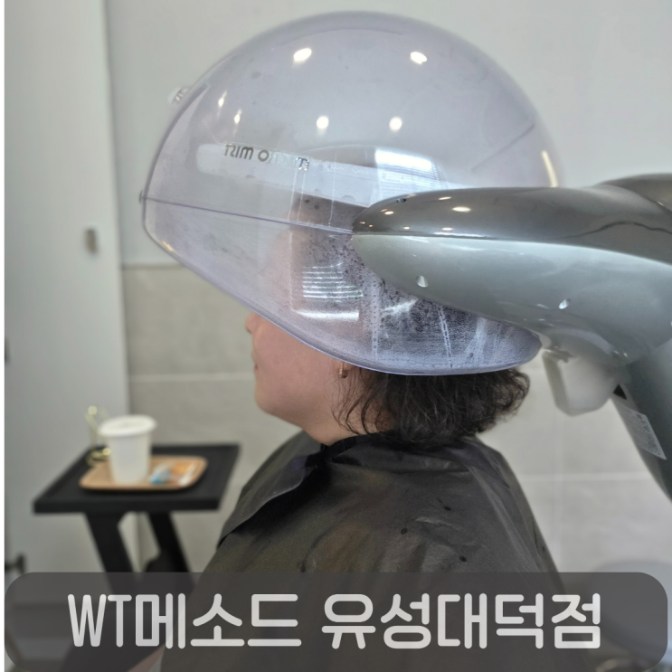 대전탈모 & 대전두피케어 잘하는 WT메소드 유성대덕점 리얼후기