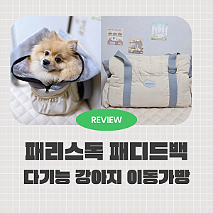 가성비좋은 만능 강아지 이동가방 패리스독 패디드백