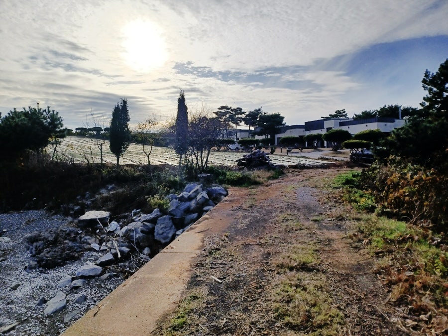 별장펜션 사진 4