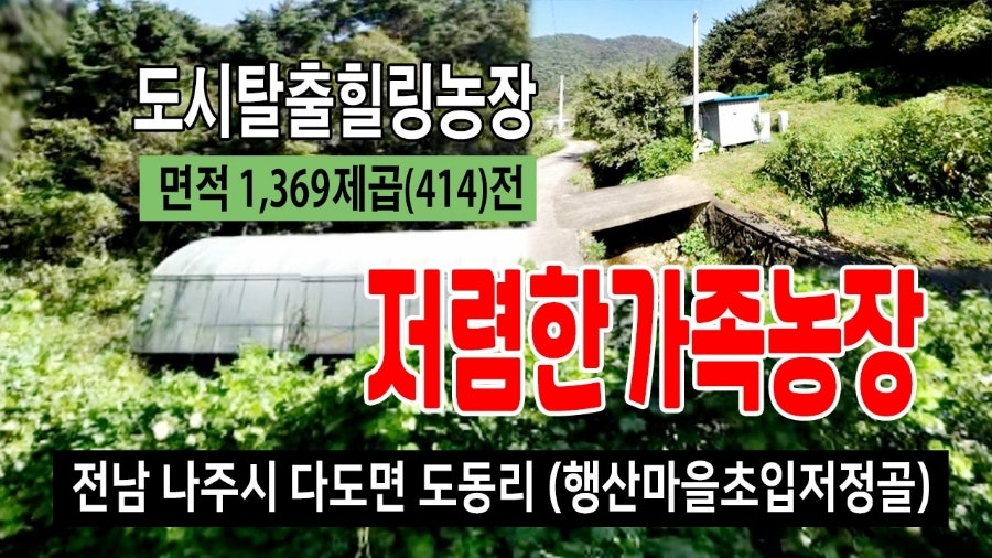 저정골 사진 1