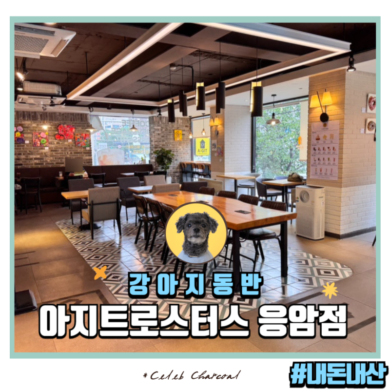 사진 2