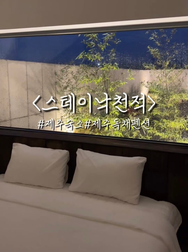  제주도여행. 아이들과 가기 좋은 한경면 감성숙소. 제주도독채펜션 : 스테이낙천적